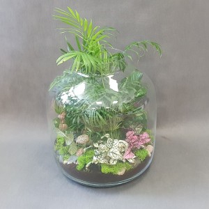 Las w słoiku z chamedorą