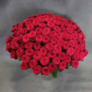 Bukiet 100 czerwonych róż