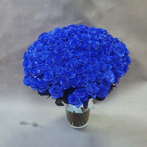 Bukiet 100 niebieskich malowanych róż